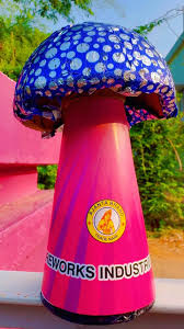 Magical Mushrooms